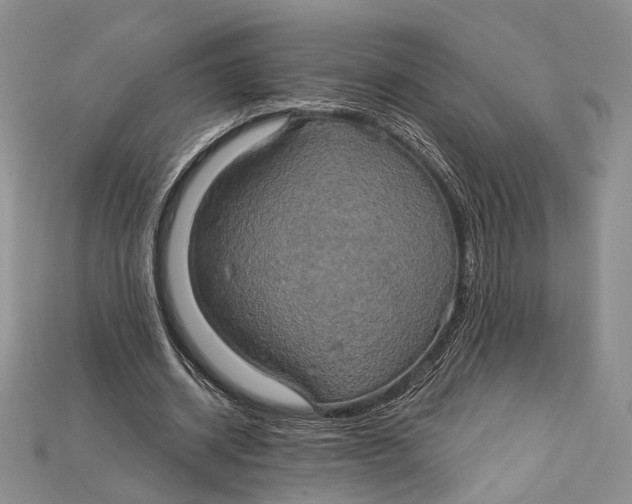 X0000114670534200911121335