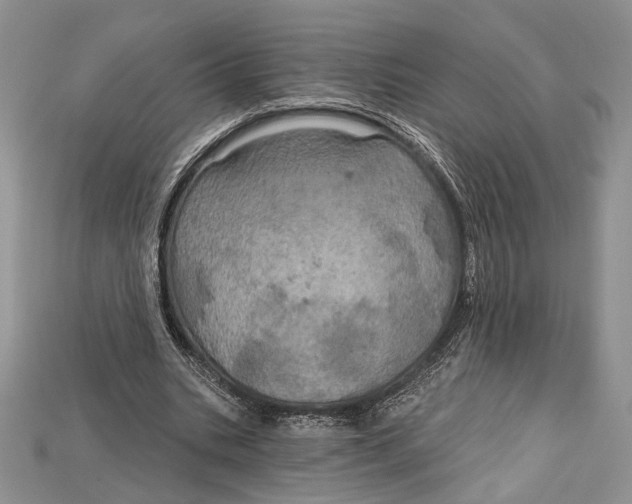 X0000114670535200911121335