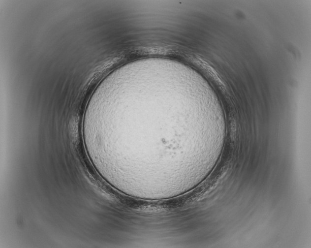 X0000114670537200911121335