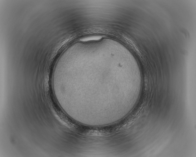 X0000114670538200911121335