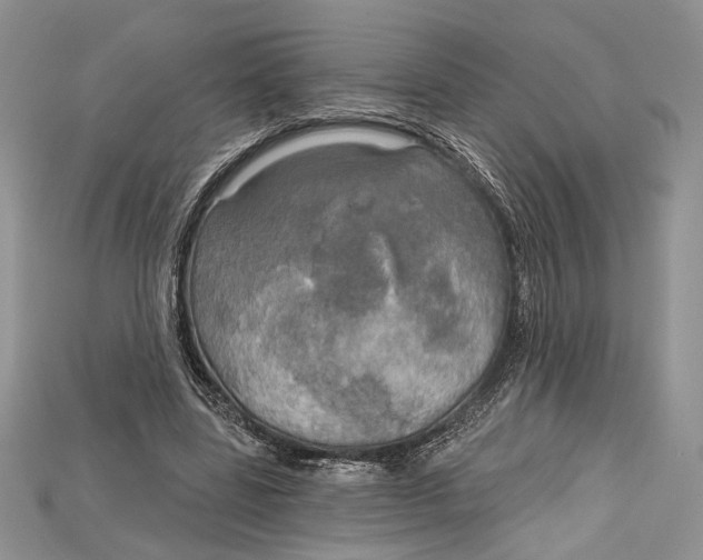 X0000114670539200911121335