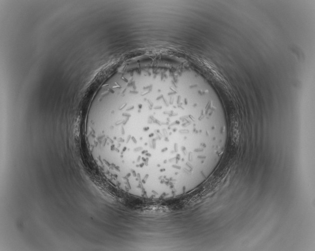 X0000114670543200911121335