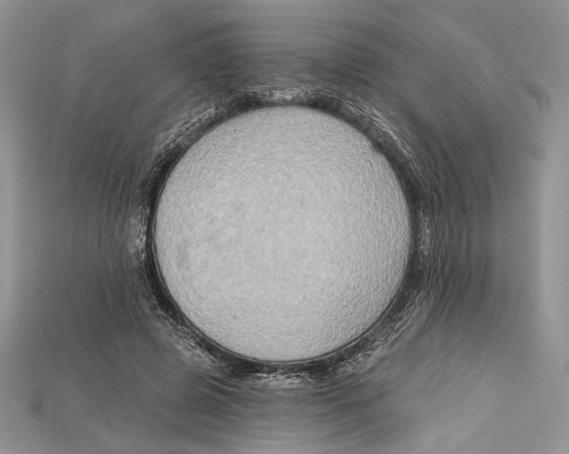 X0000114670545200911121335