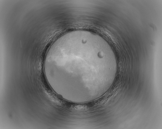 X0000114670546200911121335