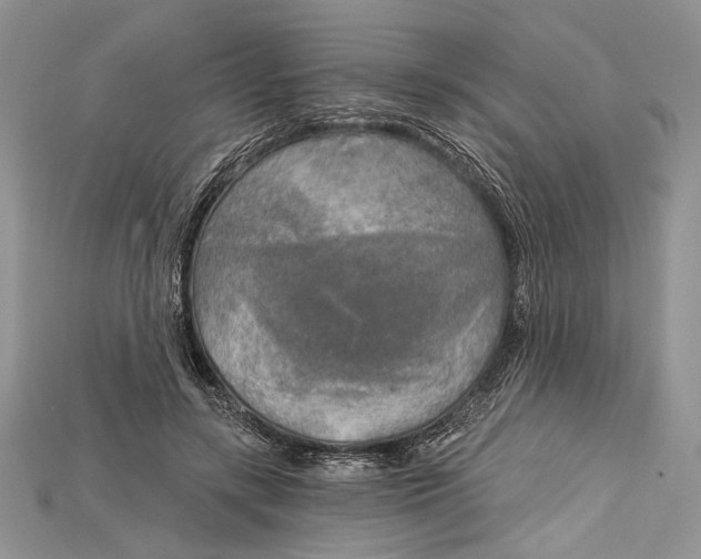 X0000114670547200911121335