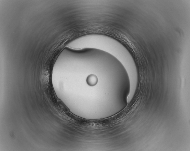 X0000114670549200911121335