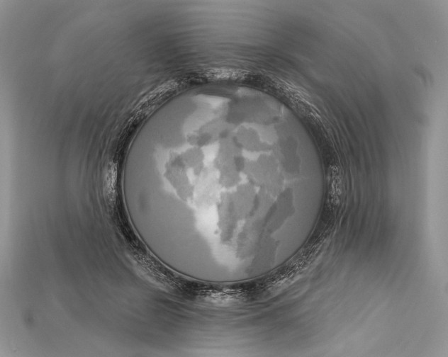 X0000114670550200911121335