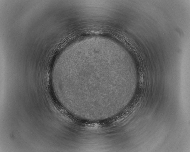 X0000114670551200911121335