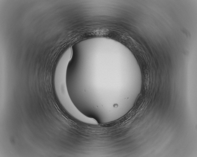 X0000114670553200911121335