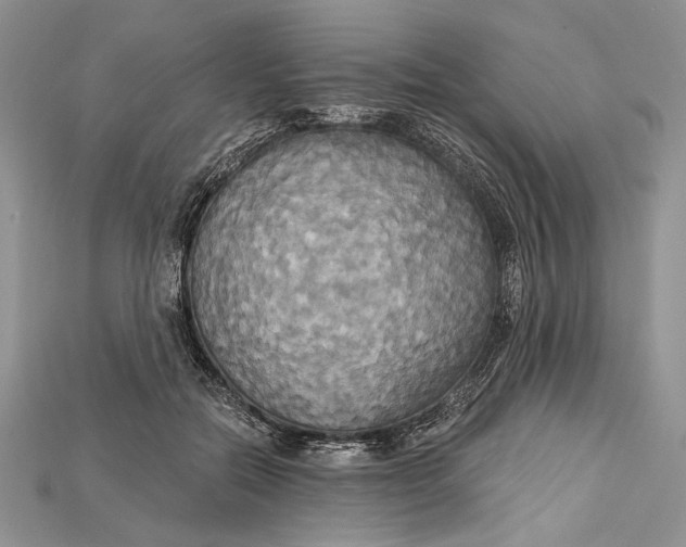 X0000114670554200911121335