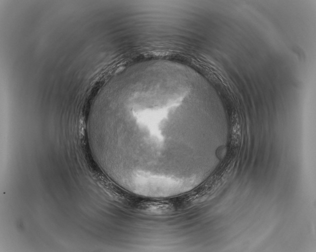 X0000114670555200911121335