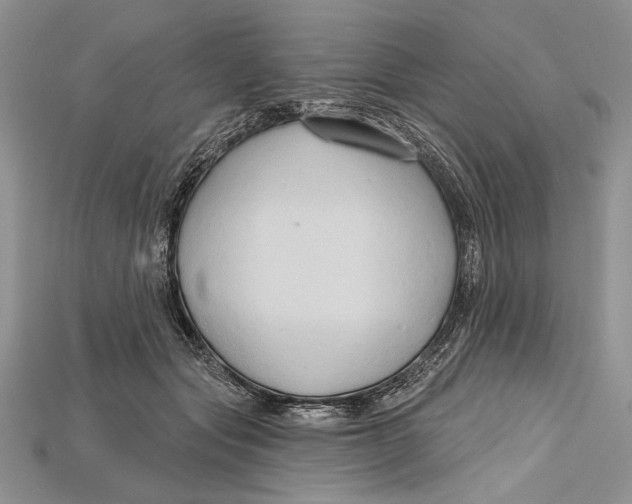 X0000114670557200911121335