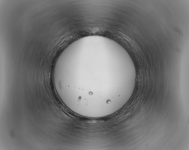 X0000114670558200911121335