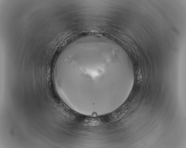 X0000114670559200911121335