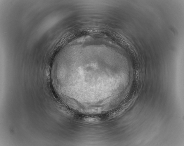 X0000114670561200911121335