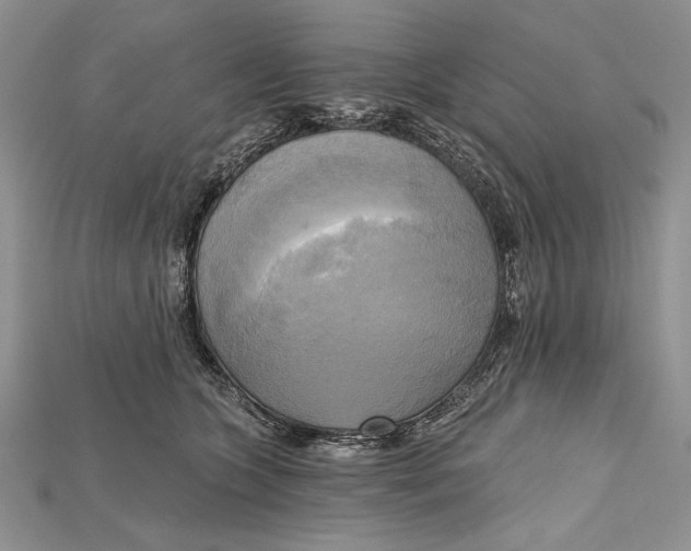 X0000114670563200911121335