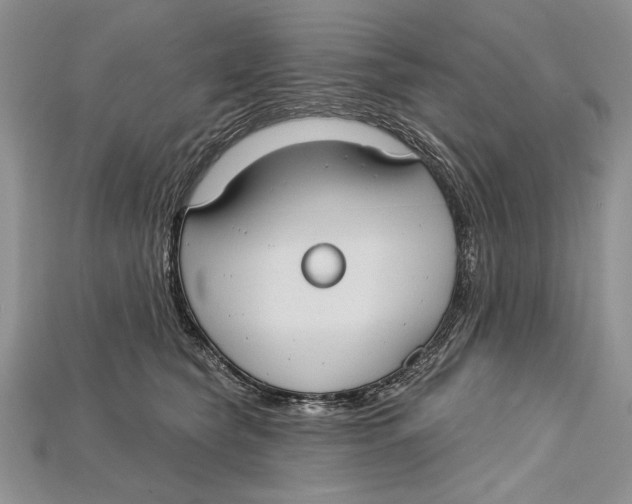 X0000114670565200911121335