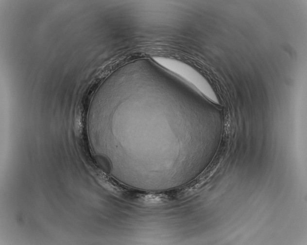 X0000114670566200911121335