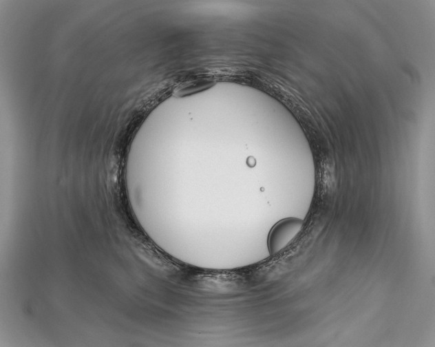 X0000114670567200911121335