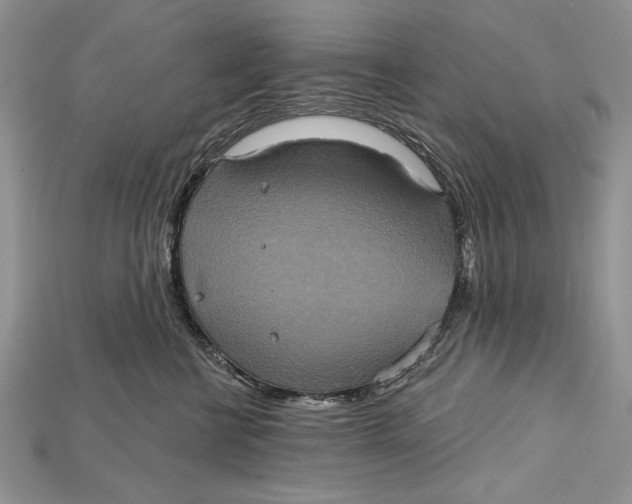 X0000114670570200911121335