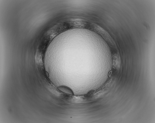 X0000114670573200911121335