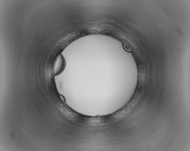 X0000114670574200911121335