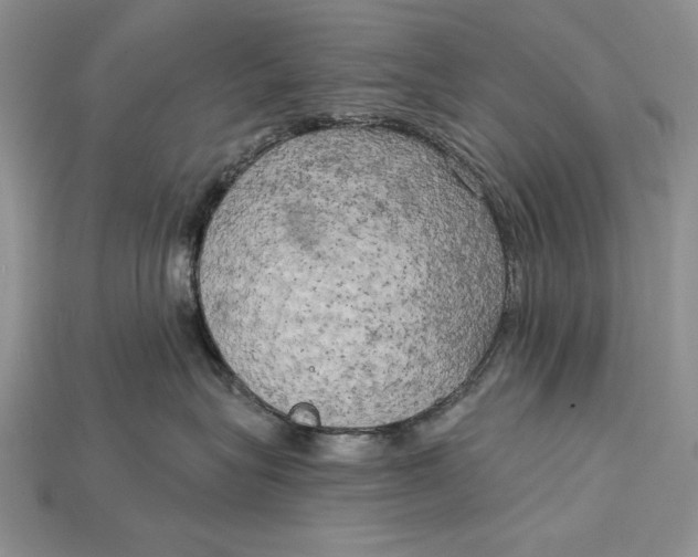 X0000114670575200911121335