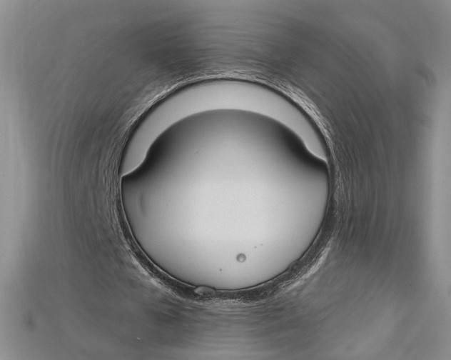 X0000114670577200911121335