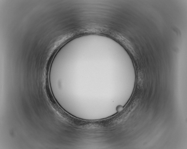 X0000114670578200911121335