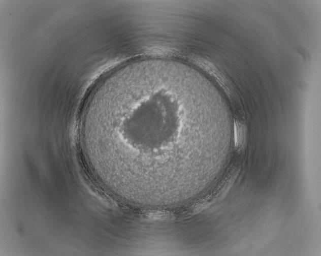 X0000114670579200911121335