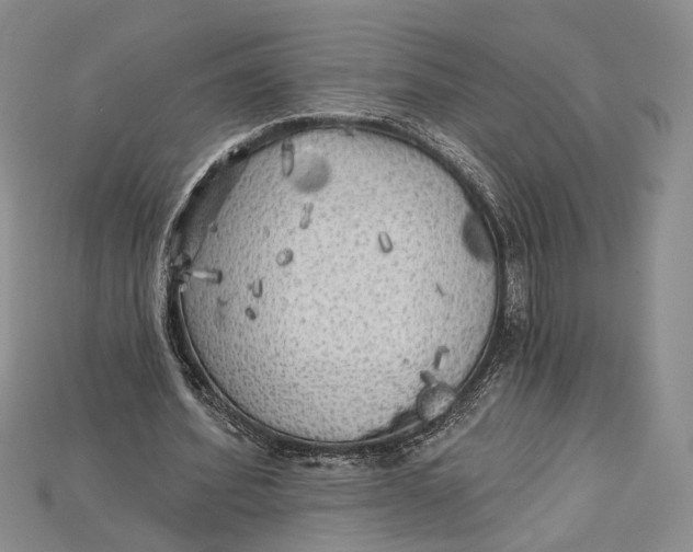 X0000114670580200911121335