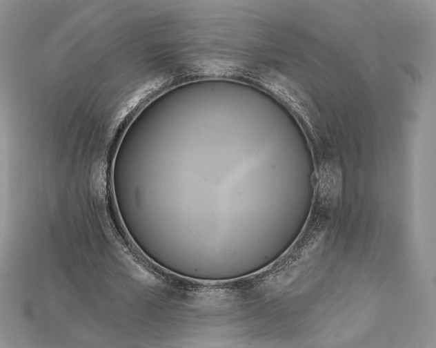 X0000114670581200911121335