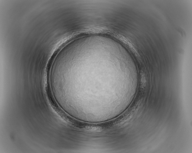 X0000114670582200911121335