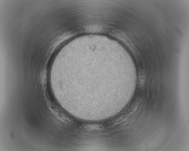 X0000114670583200911121335