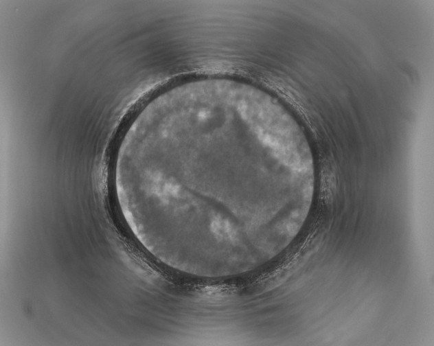 X0000114670584200911121334