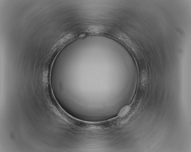 X0000114670585200911121334