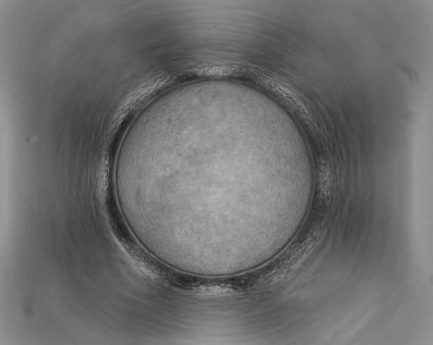 X0000114670586200911121334