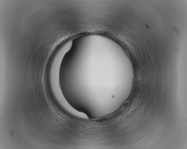 X0000114670587200911121334