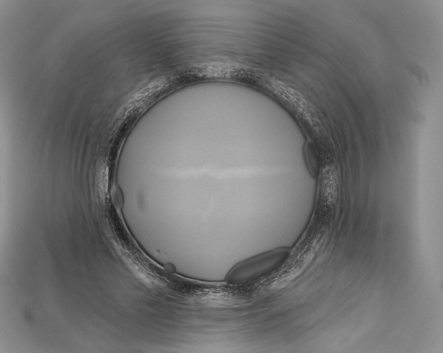 X0000114670589200911121334