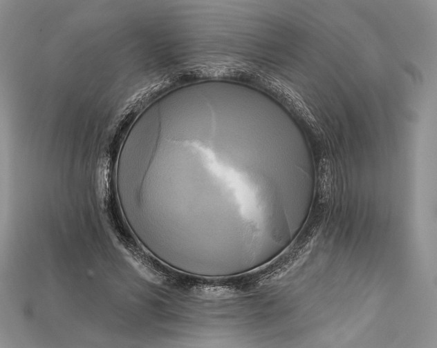 X0000114670590200911121334