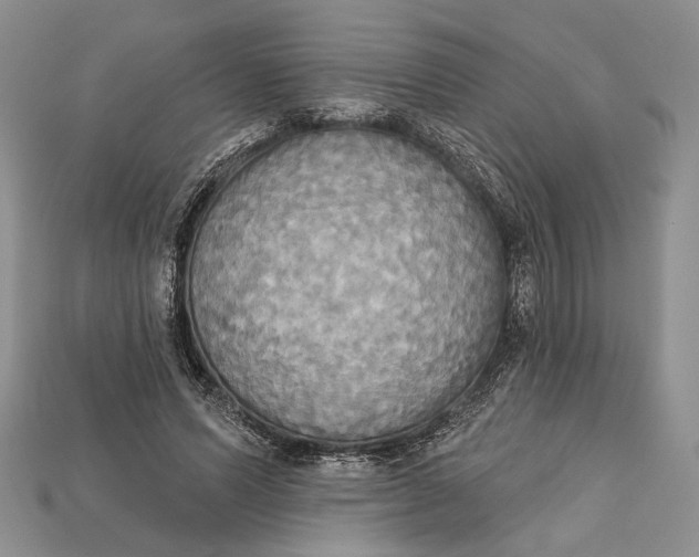 X0000114670591200911121334