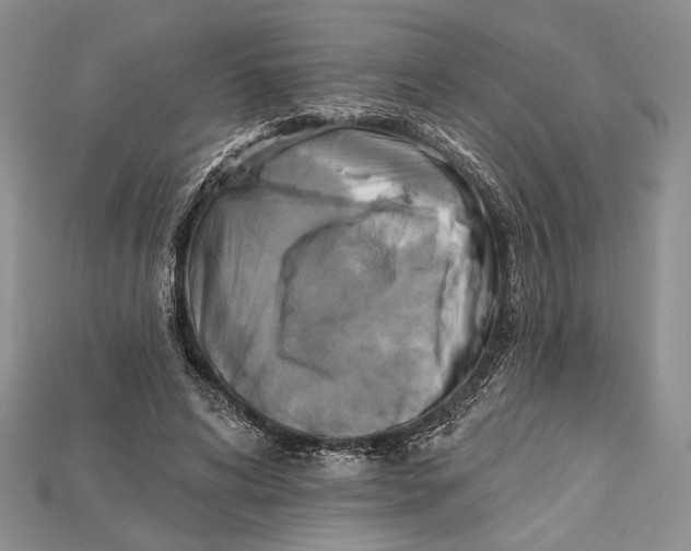 X0000114670592200911121334