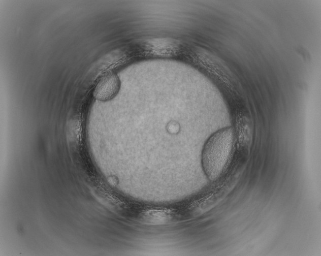 X0000114670595200911121334