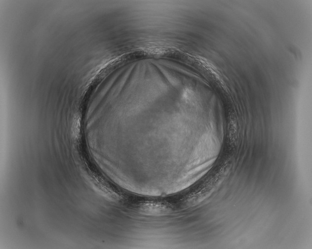 X0000114670596200911121334