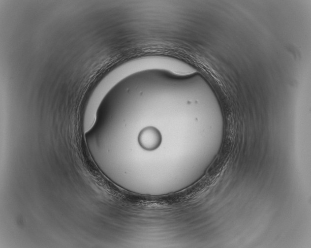 X0000114670597200911121334