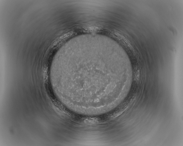 X0000114670599200911121334