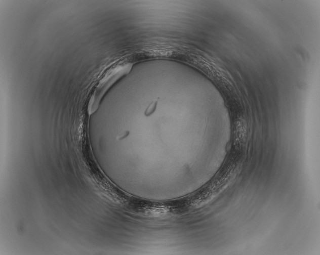 X0000114670600200911121334