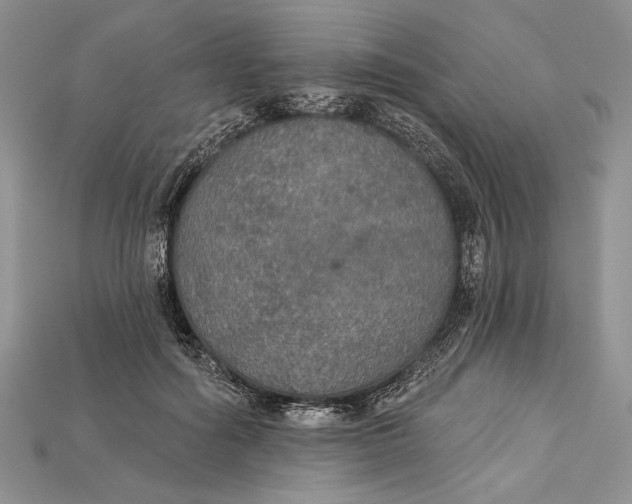 X0000114670602200911121334