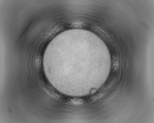 X0000114670603200911121334