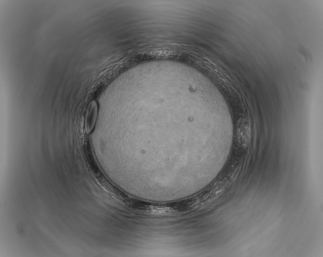 X0000114670605200911121334